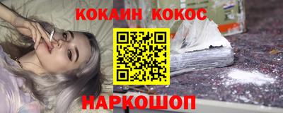 крисы Кингисепп