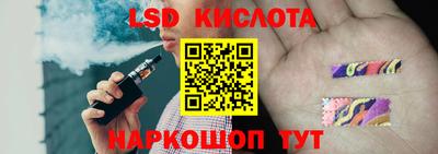 крисы Кингисепп