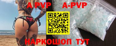 крисы Кингисепп