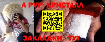 крисы Кингисепп