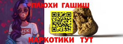 крисы Кингисепп