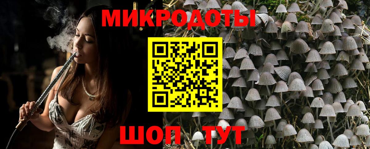 Псилоцибиновые грибы MAGIC MUSHROOMS  Вход с VPN  Копейск  Псилоцибиновые грибы GOLDEN TEACHER 
